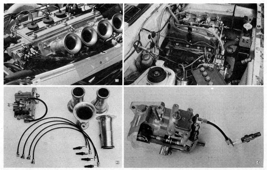 Untitled Document [vital.sakura.ne.jp]